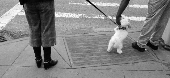 35 Good boy, New York, USA 2007 - click to return